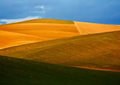 Paesaggio Matera