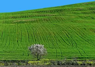 Paesaggio Matera