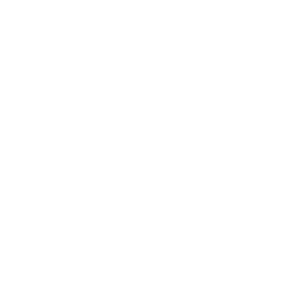 tourist guides