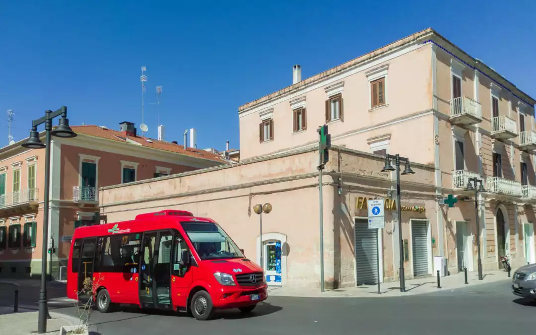 Reinstatement of the special Cava del Sole – Parco delle Chiese rupestri bus line and increase of frequency for bus lines 14 and 15