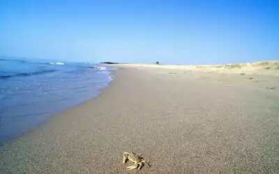 Da Matera al Mare