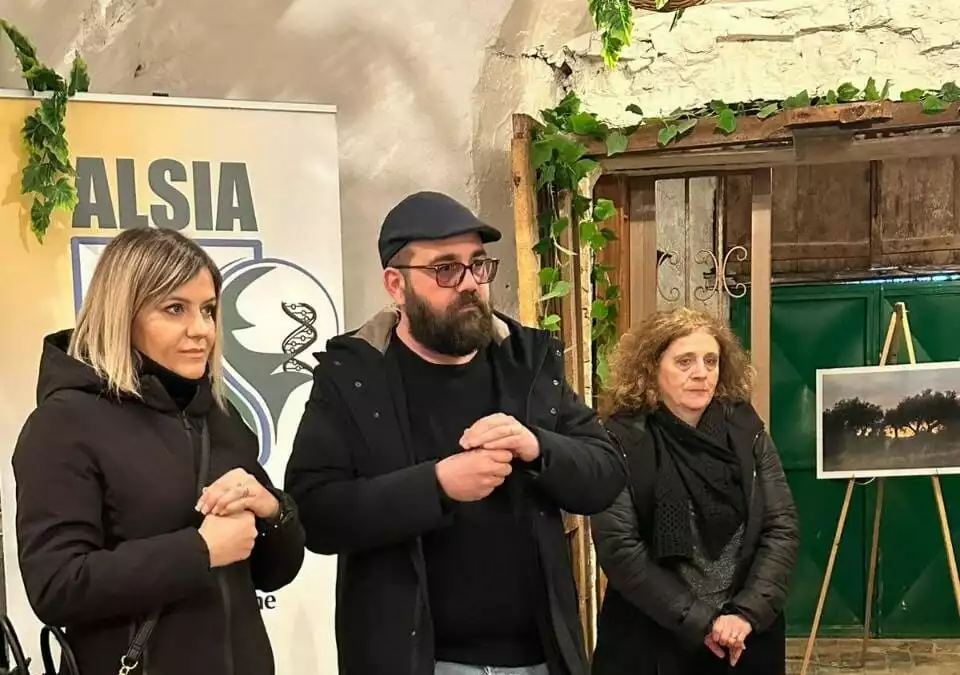 Sedici oli lucani di eccellenza alla XIX edizione del premio “Olivarum”