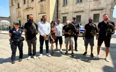 Matera ospita lo spettacolo di falconeria del Parco della Grancia